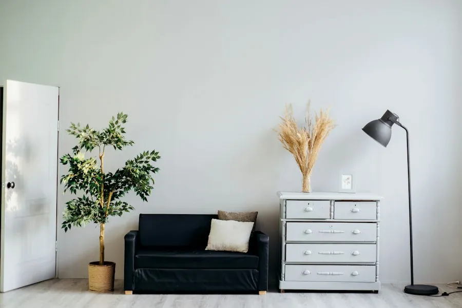 Sala con planta y lámpara de pie